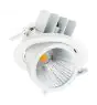 Philips Faretti LED LuxSpace Accent Performance RS782B 40W 4550lm 30x60D - 930 Luce Calda | 167mm - Miglior resa cromatica