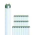 Confezione Multipack 25x Philips TL-D 58W 840 Super 80 (MASTER) | 150cm - Bianco Freddo