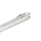 Philips Stagna LED CoreLine WT120C G2 60W 8000lm - 840 Bianco Freddo | 150cm - 3x Cablaggio Entra/Esci 